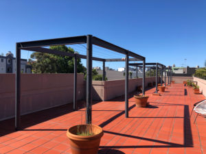 Rushcutters Bay 10 McLachlan Ave Rooftop-area