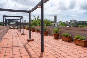 Rooftop