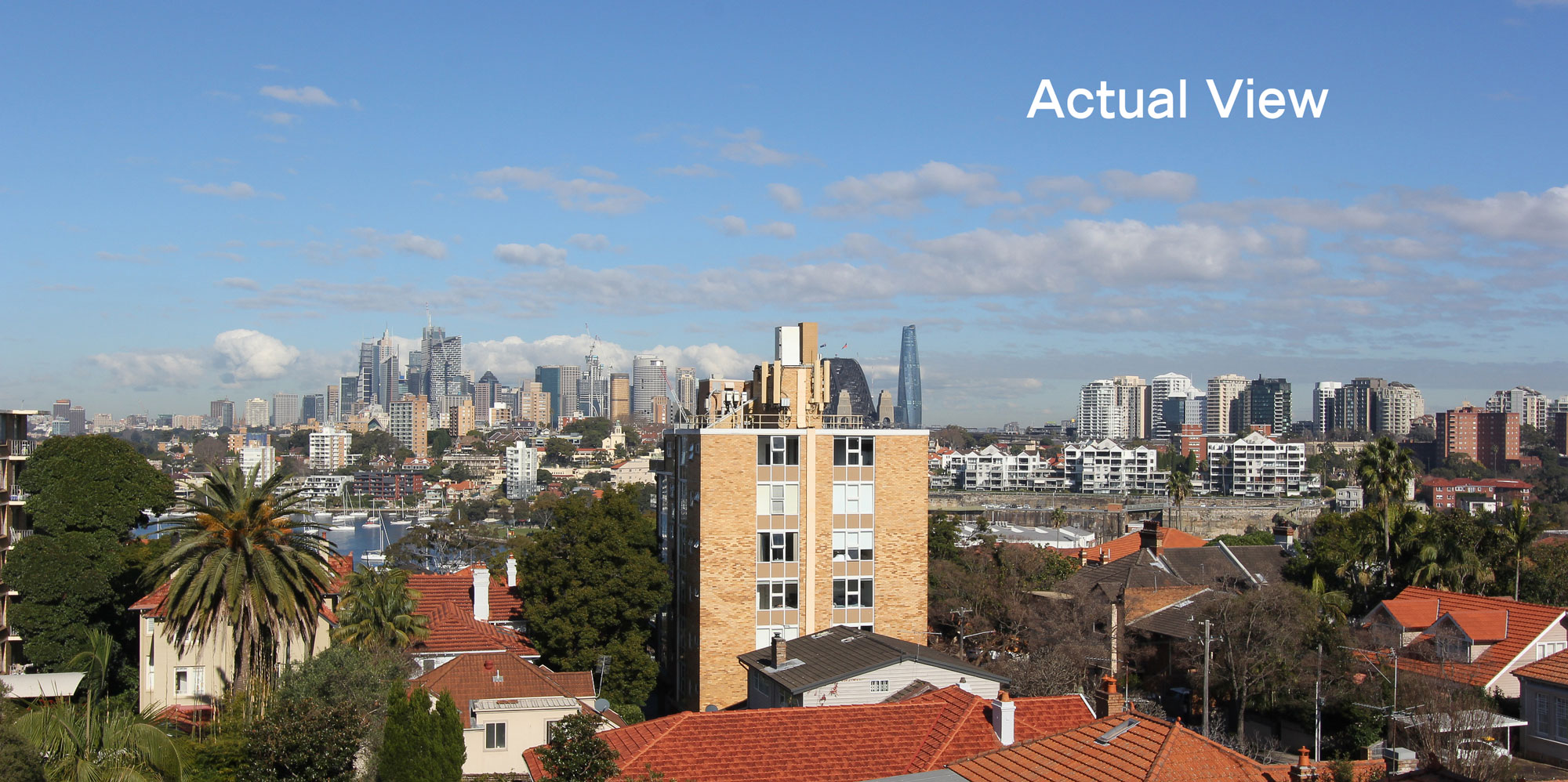 View-Actual-web
