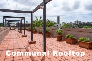 Rooftop