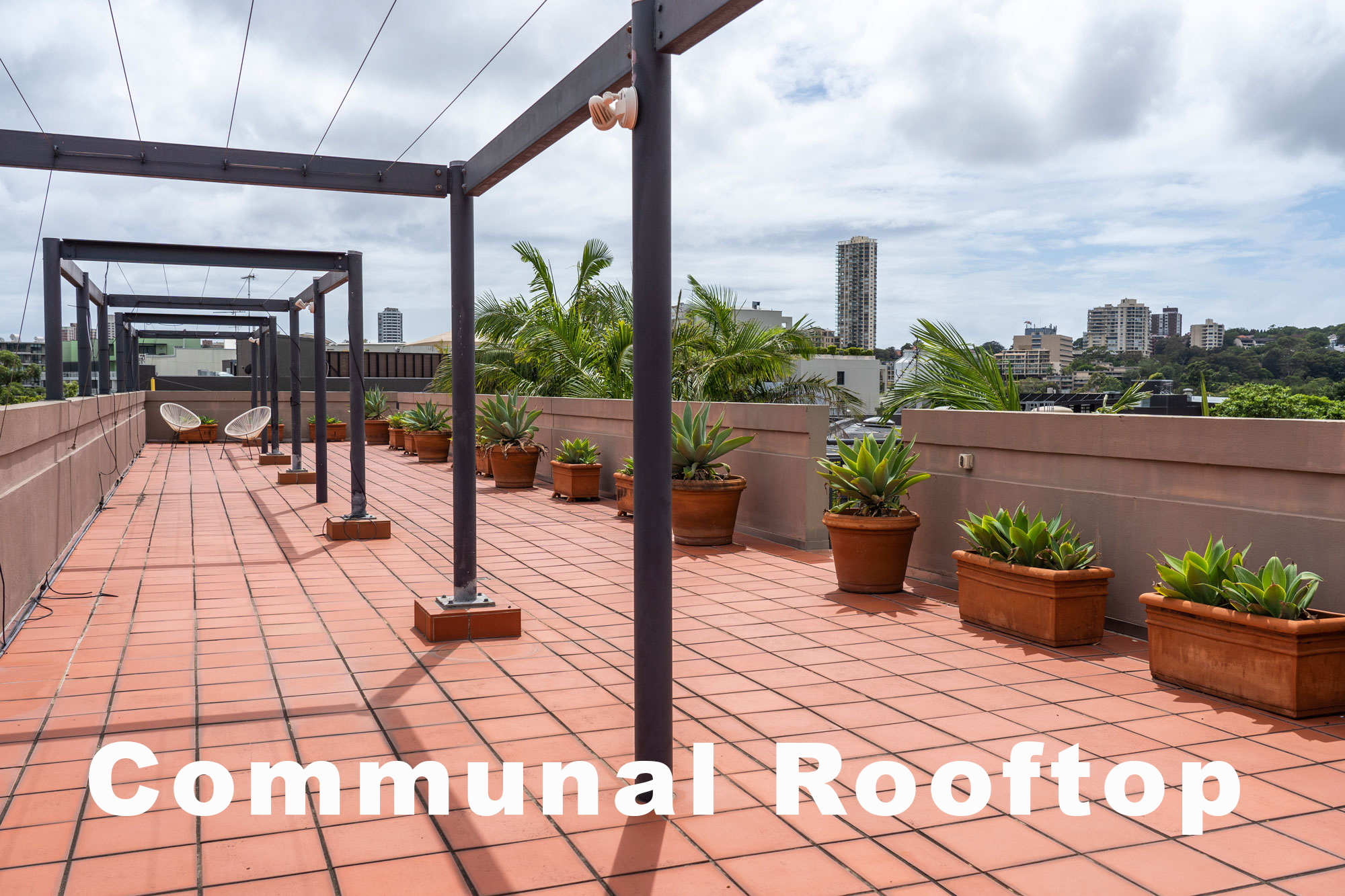Rooftop