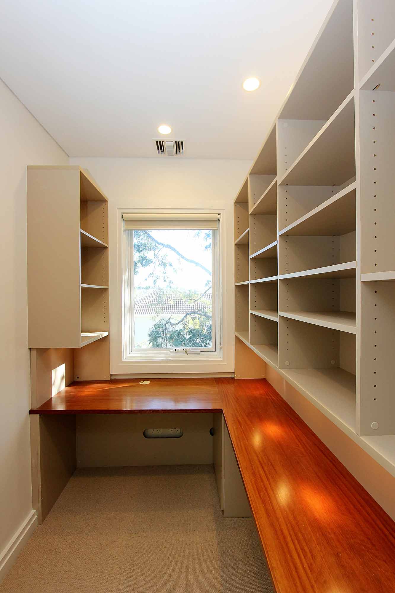 Study-web